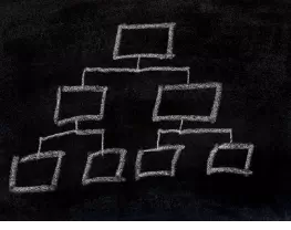 Organisatie
